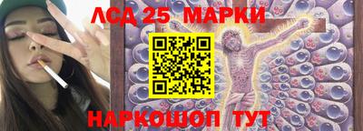 гидропоника Новокубанск