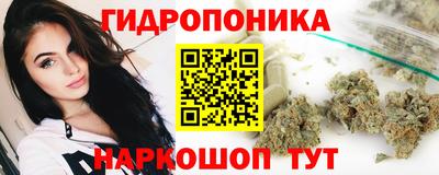 гидропоника Новокубанск