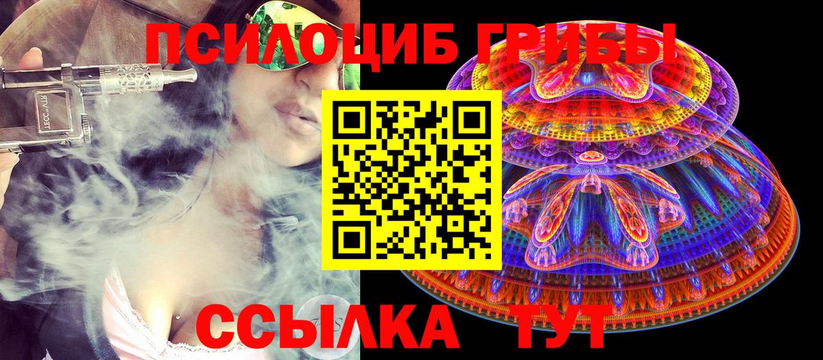 Галлюциногенные грибы Cubensis Славгород